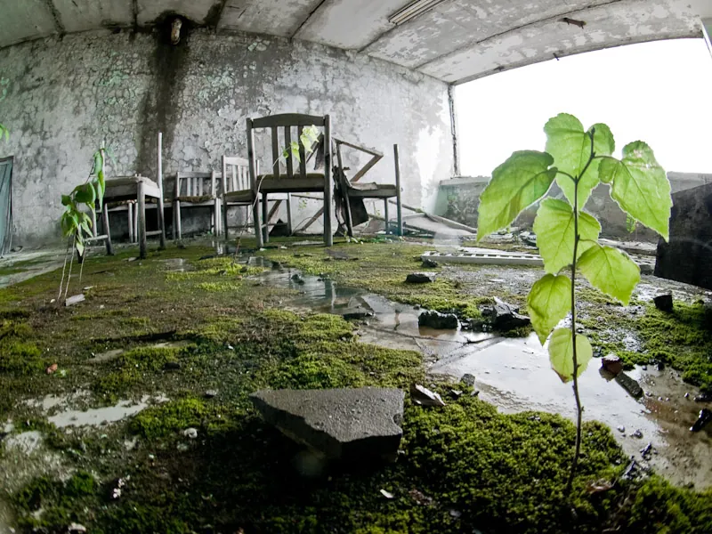 Nature Takes Over